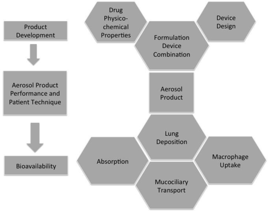 Figure 1: