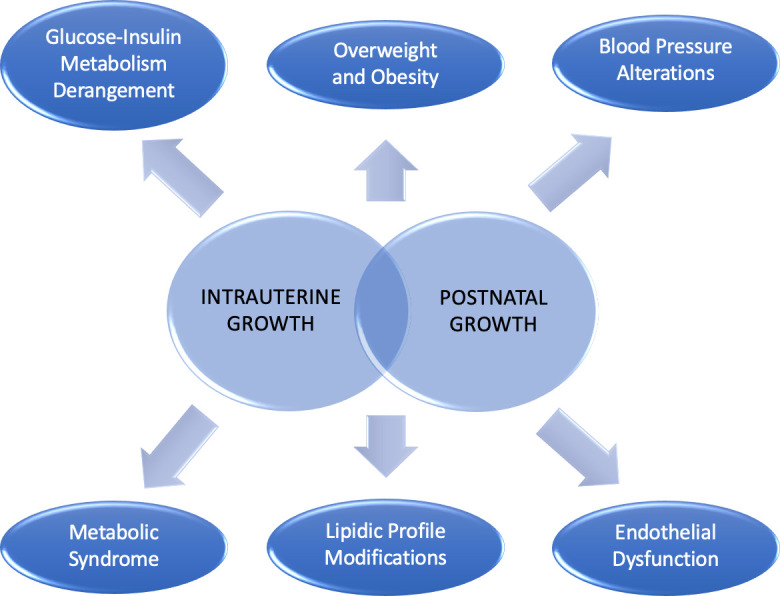 Figure 1