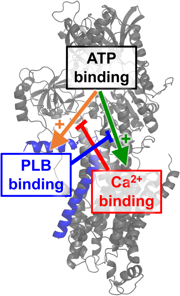 Figure 4