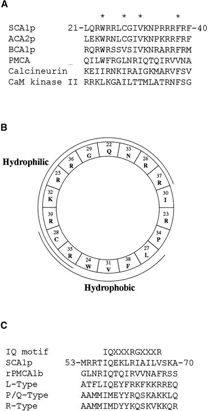 Figure 7.