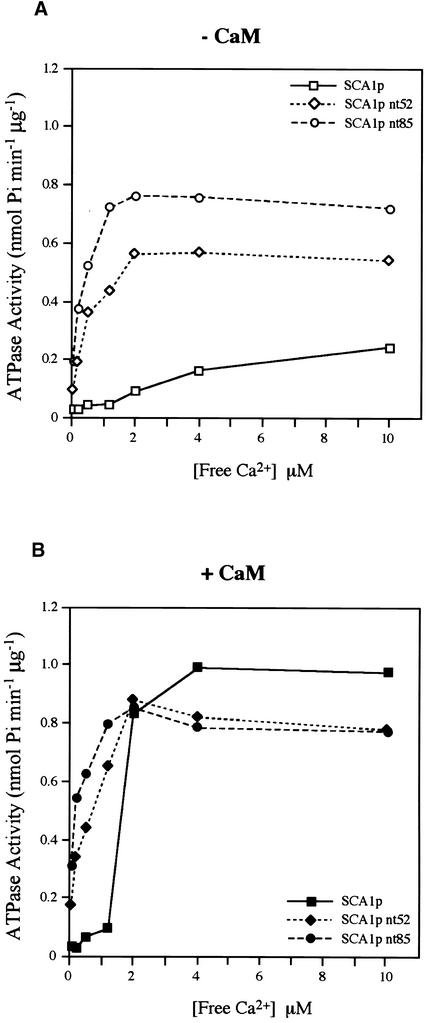 Figure 10.