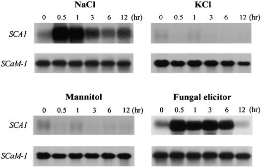 Figure 11.