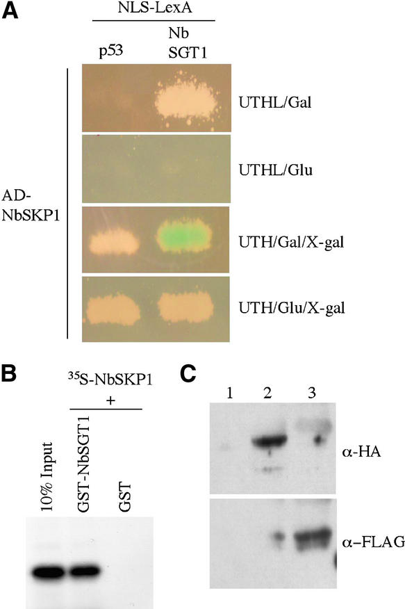 Figure 4.