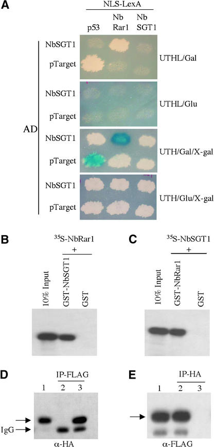 Figure 2.