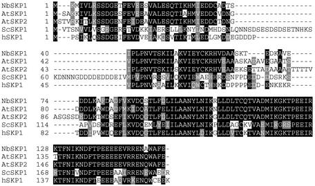 Figure 3.