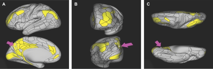 FIGURE 29.