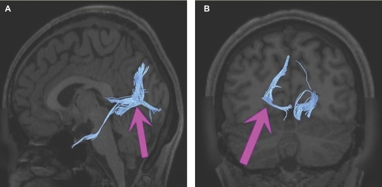 FIGURE 36.