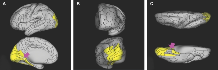 FIGURE 35.