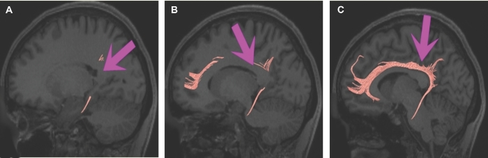 FIGURE 20.