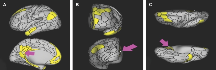 FIGURE 13.