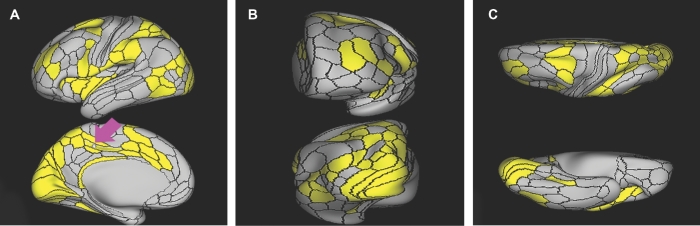 FIGURE 15.