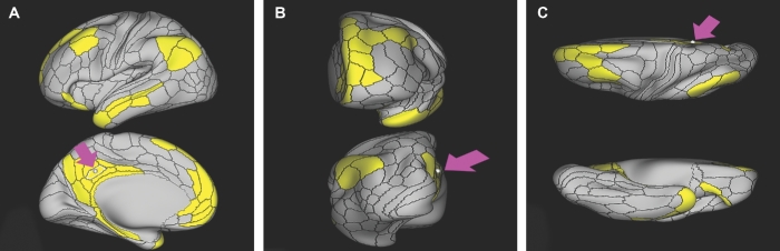 FIGURE 7.