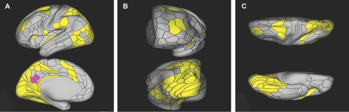 FIGURE 33.