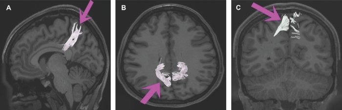 FIGURE 24.