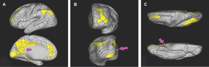 FIGURE 19.