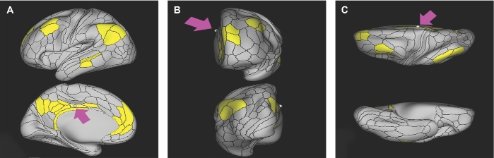 FIGURE 17.