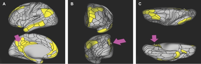 FIGURE 25.