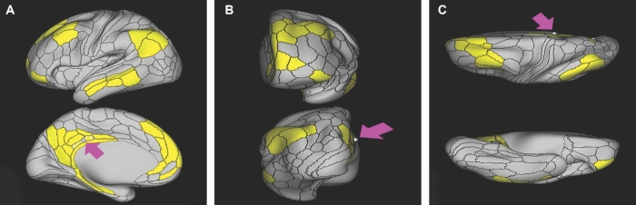 FIGURE 11.