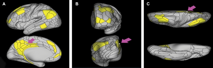 FIGURE 3.