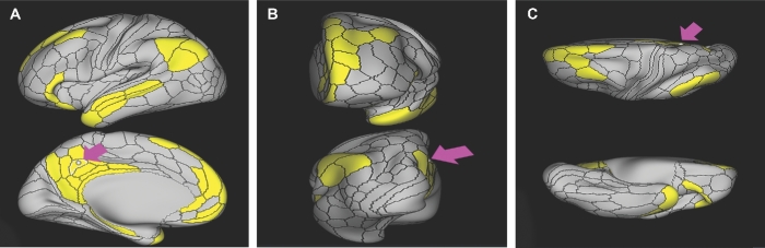 FIGURE 5.