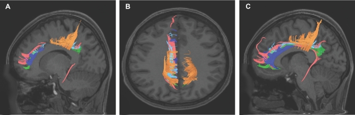 FIGURE 10.