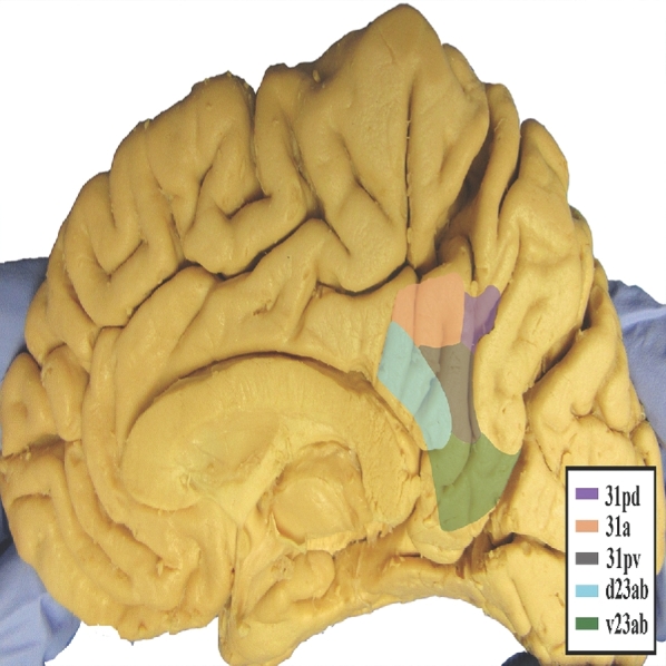 FIGURE 1.