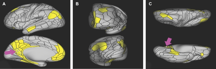 FIGURE 31.