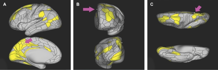 FIGURE 23.