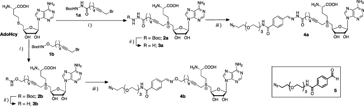 Scheme 1