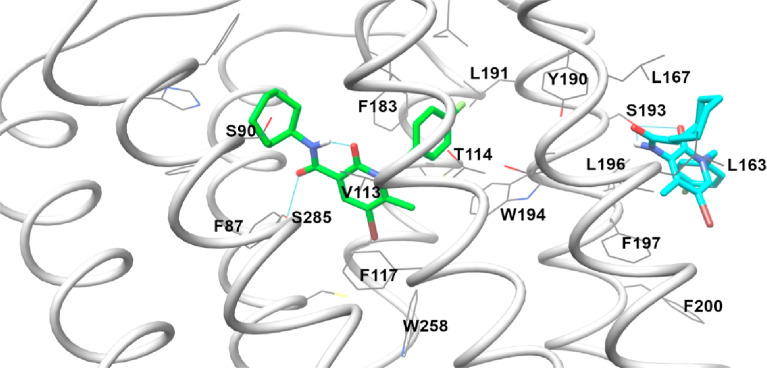 Figure 11