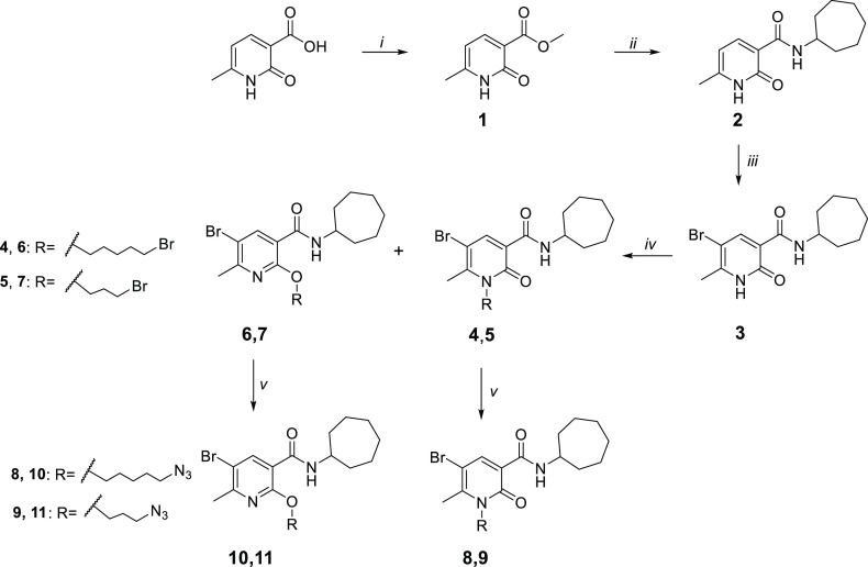 Scheme 1