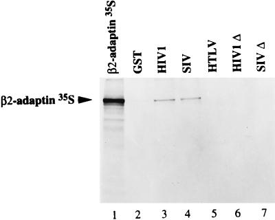 FIG. 7