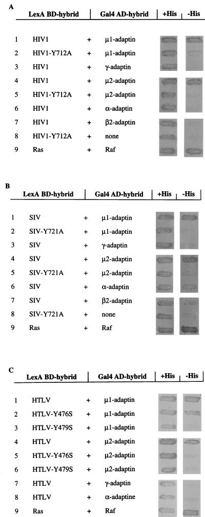 FIG. 4