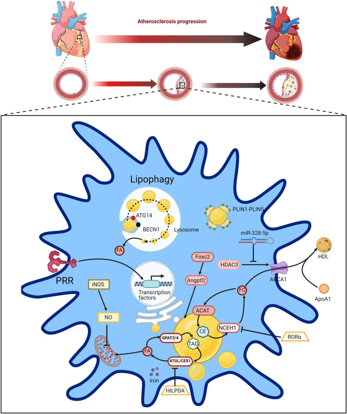 FIGURE 4