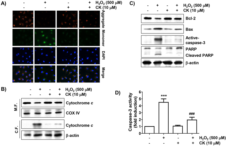 Fig. 3