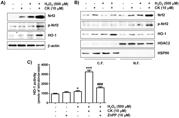 Fig. 4