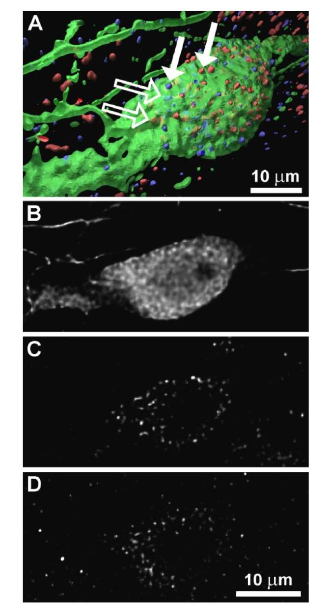 Fig. 3