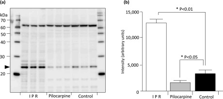 Fig. 7