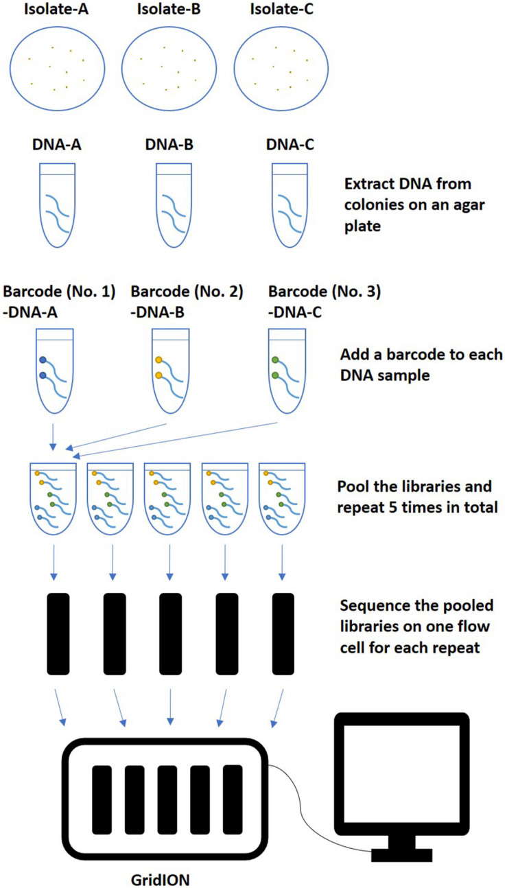 FIGURE 1