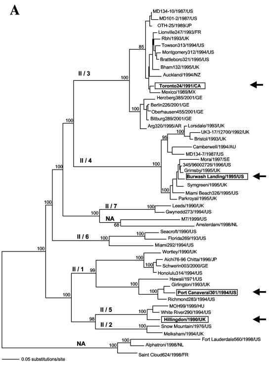 FIG. 2.