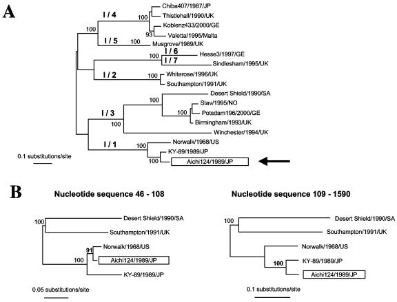 FIG. 1.