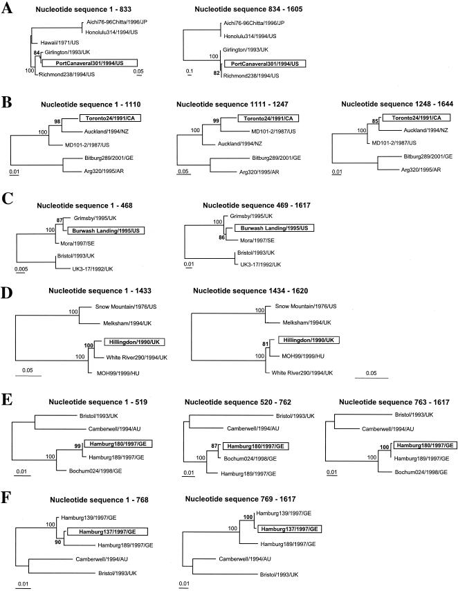 FIG.4.