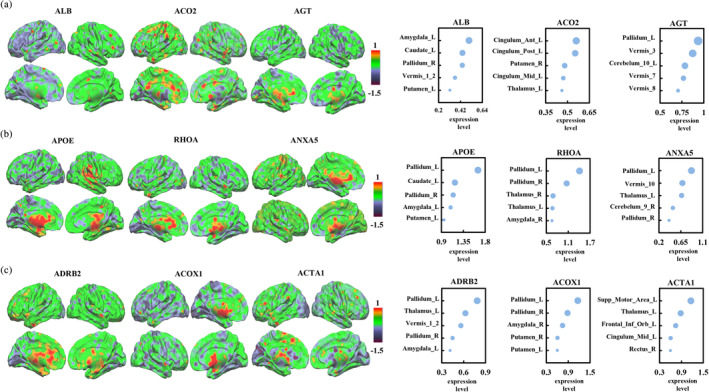 FIGURE 6