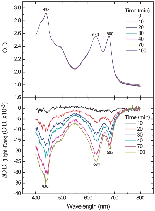 Figure 7