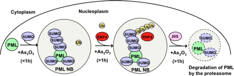 Figure 10.