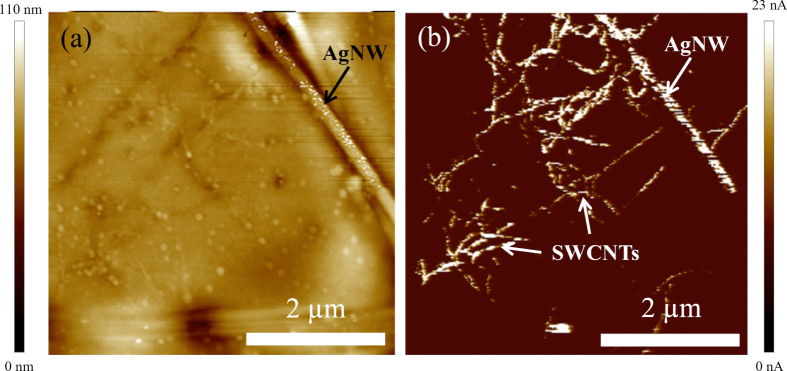 Figure 5.