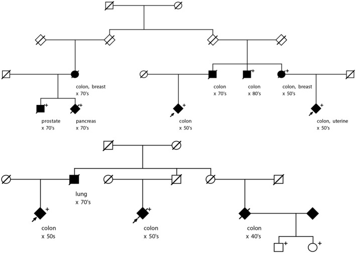 FIGURE 1