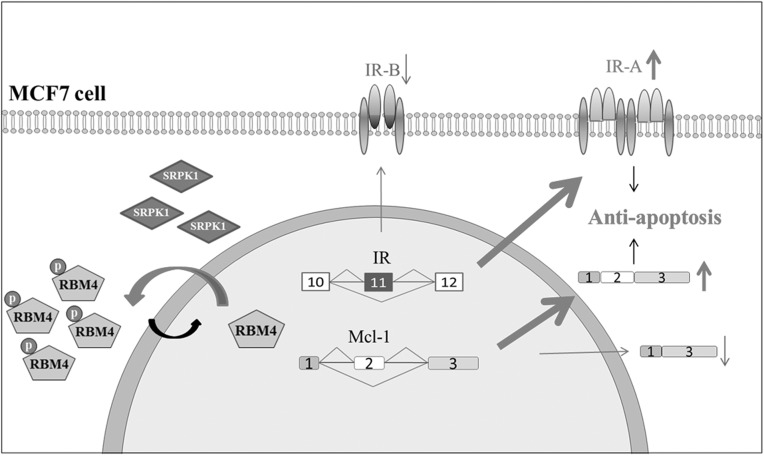 FIGURE 7.