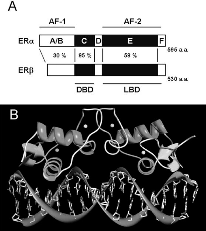 Fig. (1)