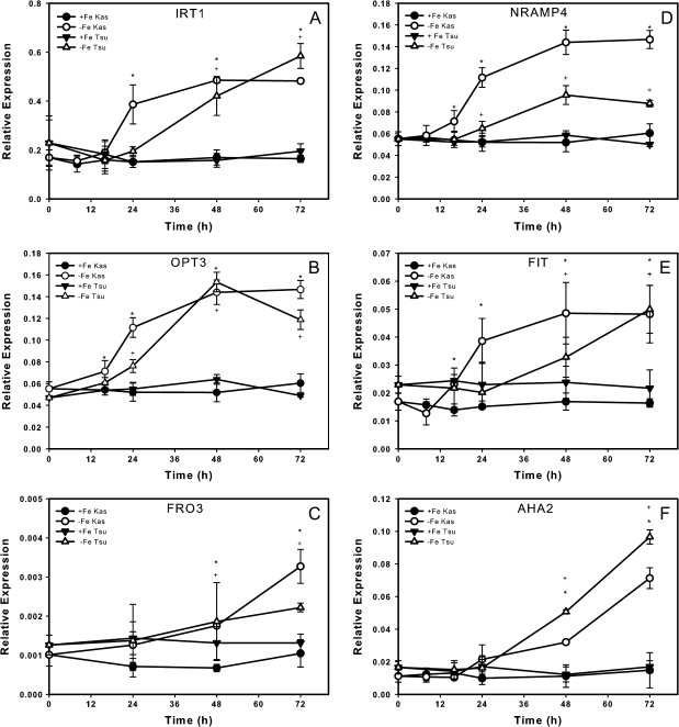 Fig. 7.